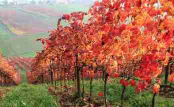 Time to take advantage of your fall harvest